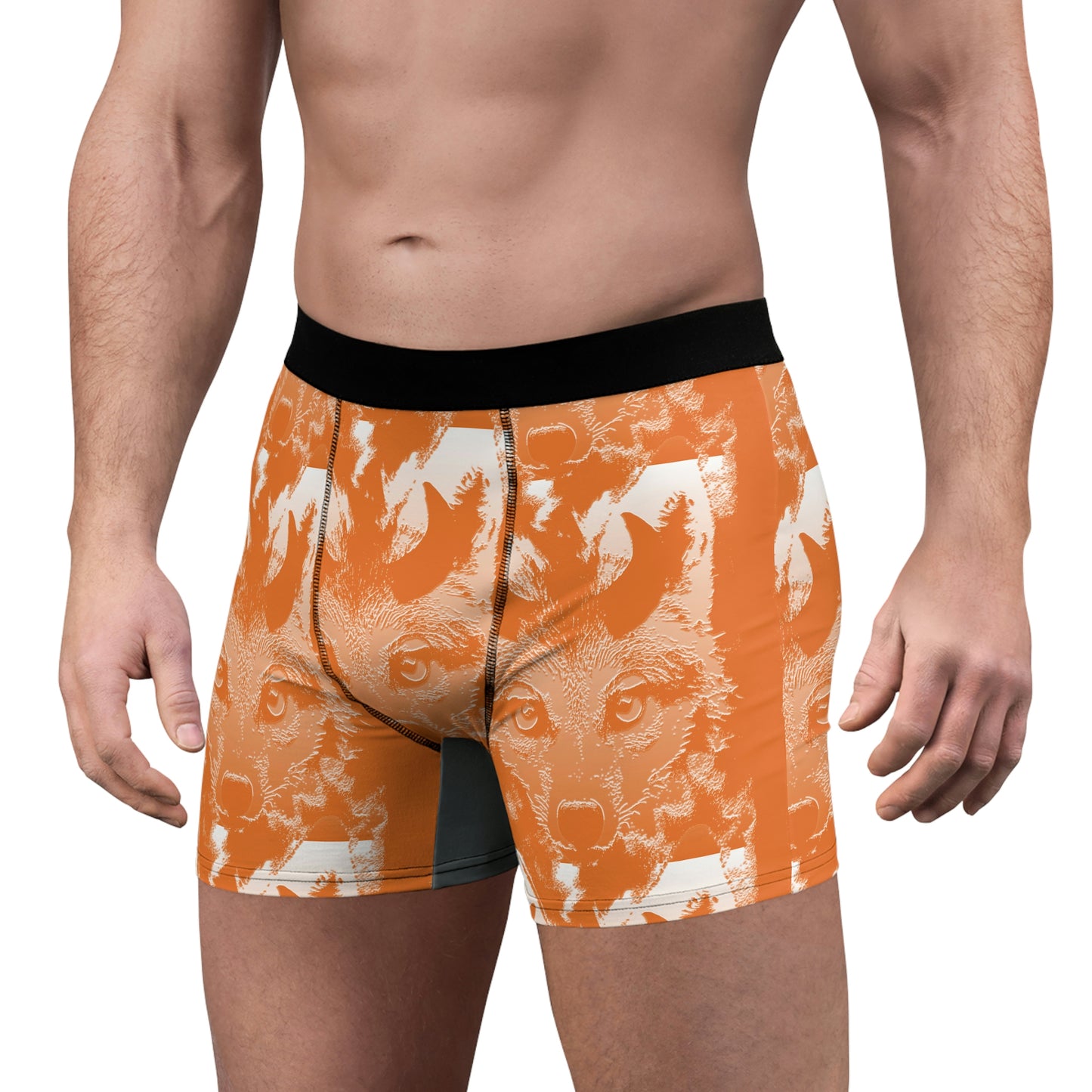 Horned Coyote Men's Boxer Briefs