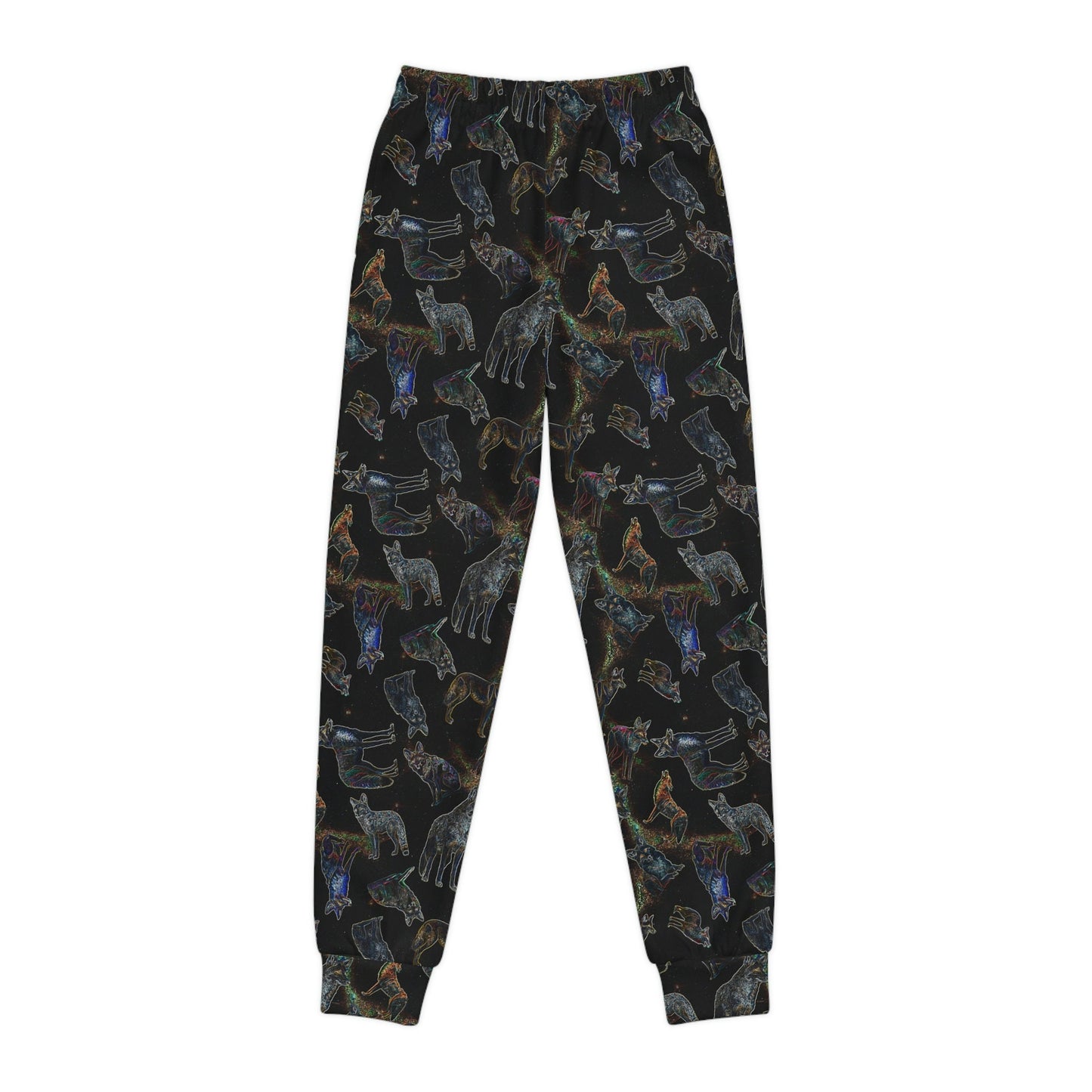 Coyote Galaxy Youth Joggers