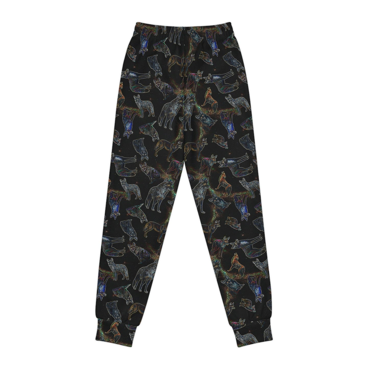 Coyote Galaxy Youth Joggers